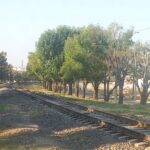 Vias tren