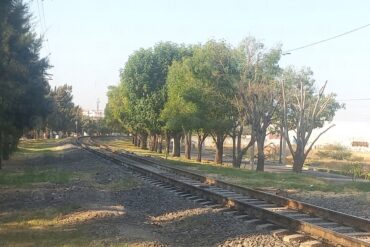 Vias tren
