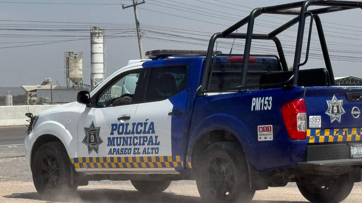 apaseo el alto