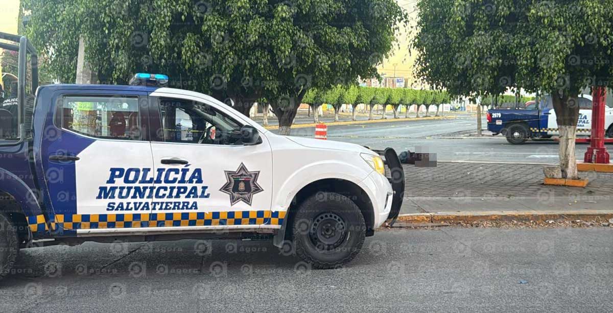 salvatierra 76