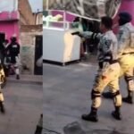 GUARDIA LEON VECINOS