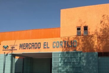 IMG 3524 e1775693926832