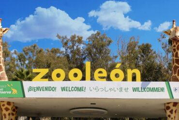 ZOO 3