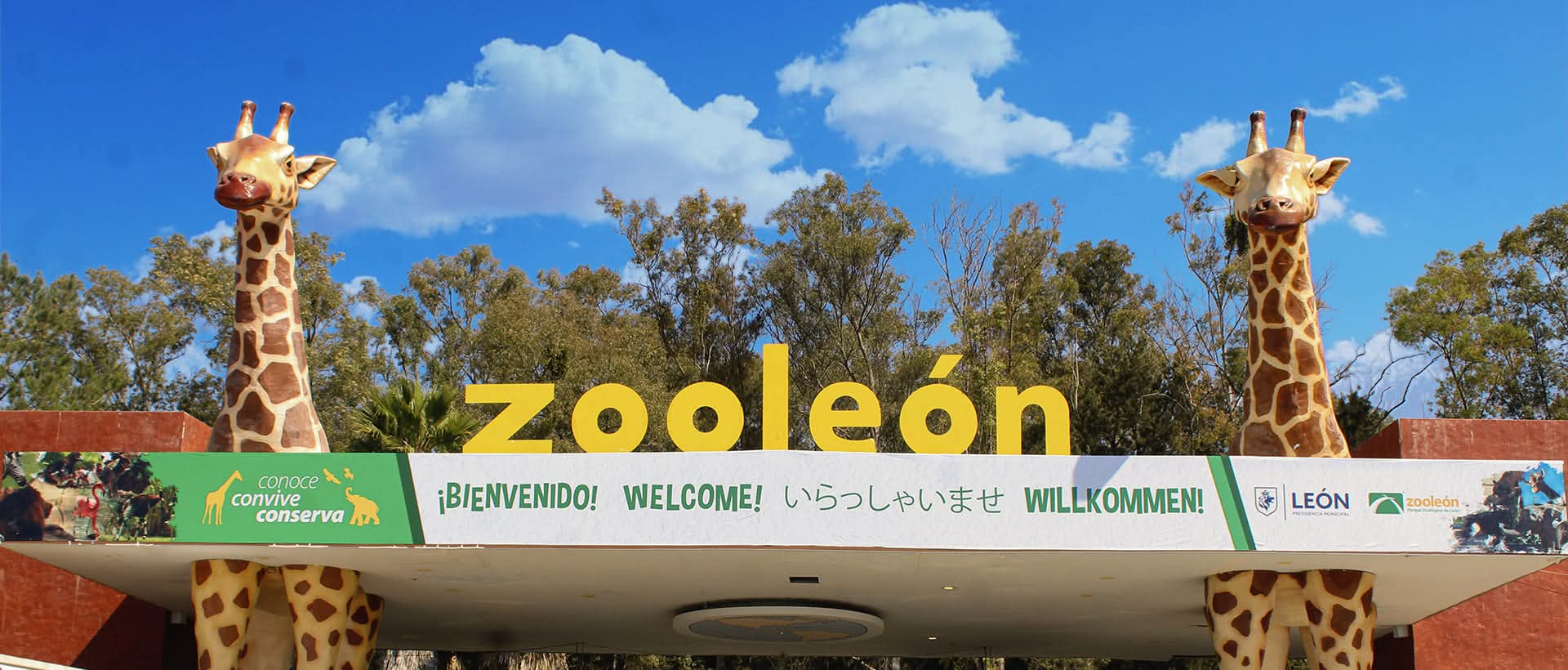 ZOO 3