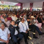 informe smo