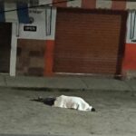 la cruz