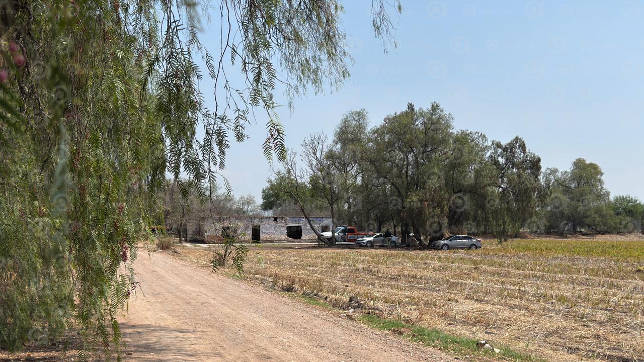 torrecillas 1