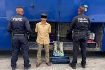 Asegura PEC mas de mil dosis de marihuana en Salamanca 1