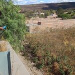 Habitantes Machuca Ferroferico e1778270977901