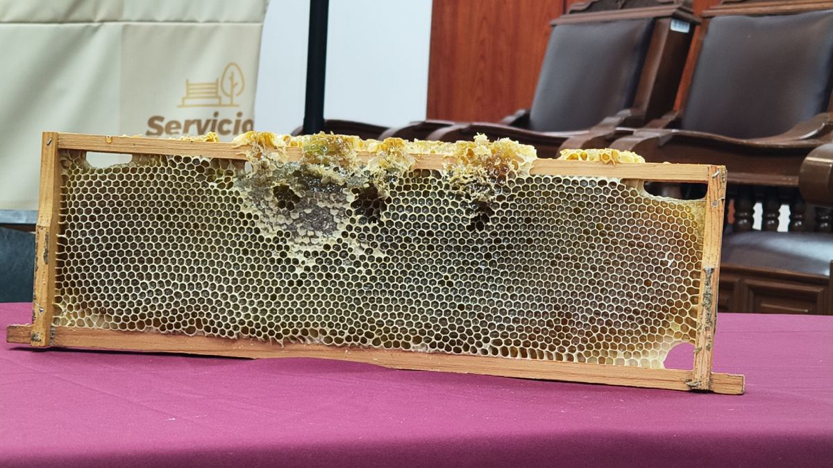 abejas