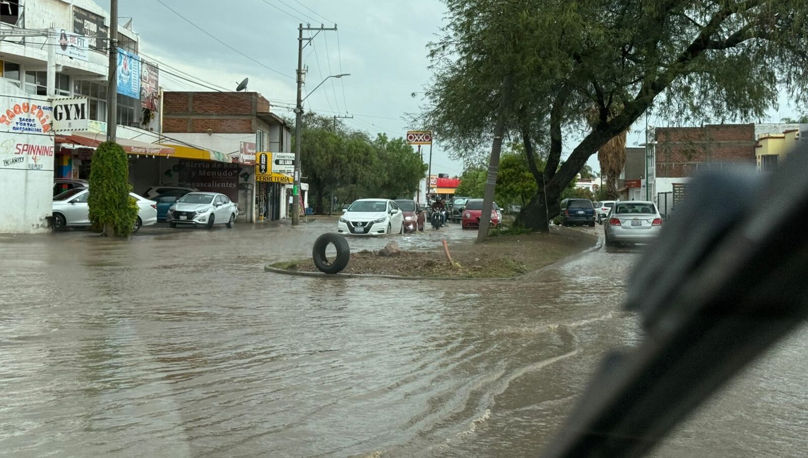lluvias 6 e1778808464442