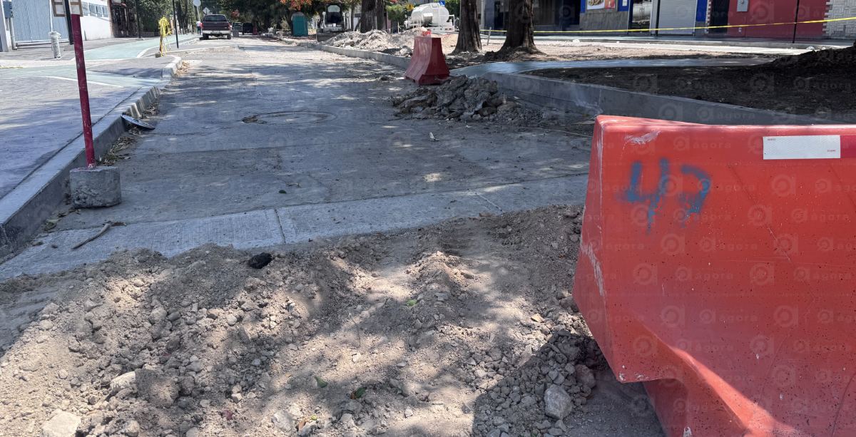 obra celaya