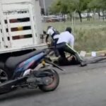 transitos culeros