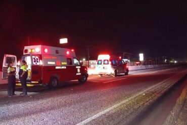 IMG 0317 1 e1782329329598