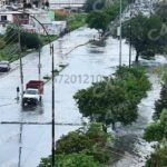 Recolectan 550 kilos de basura tras lluvias en León LLUVIAS 6 e1781576161928