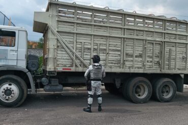 Circulaba en camión con reporte de robo; lo detienen en el Libramiento Sur WhatsApp Image 2026 06 12 at 12.35.39