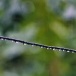clima e1780362003959