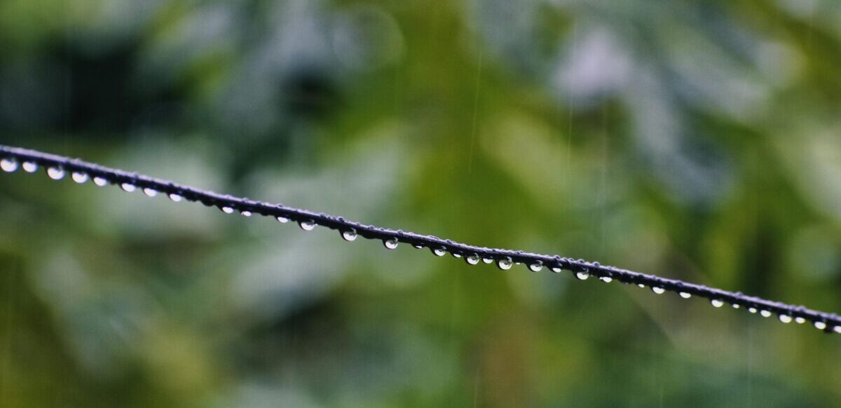 Inicia junio con lluvias y ambiente más fresco en Guanajuato clima e1780362003959