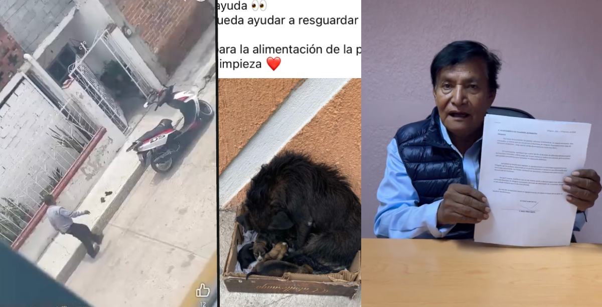 cronista villagran