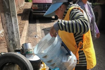 dengue e1782774403689