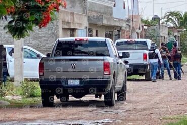 miniteriales guajolote