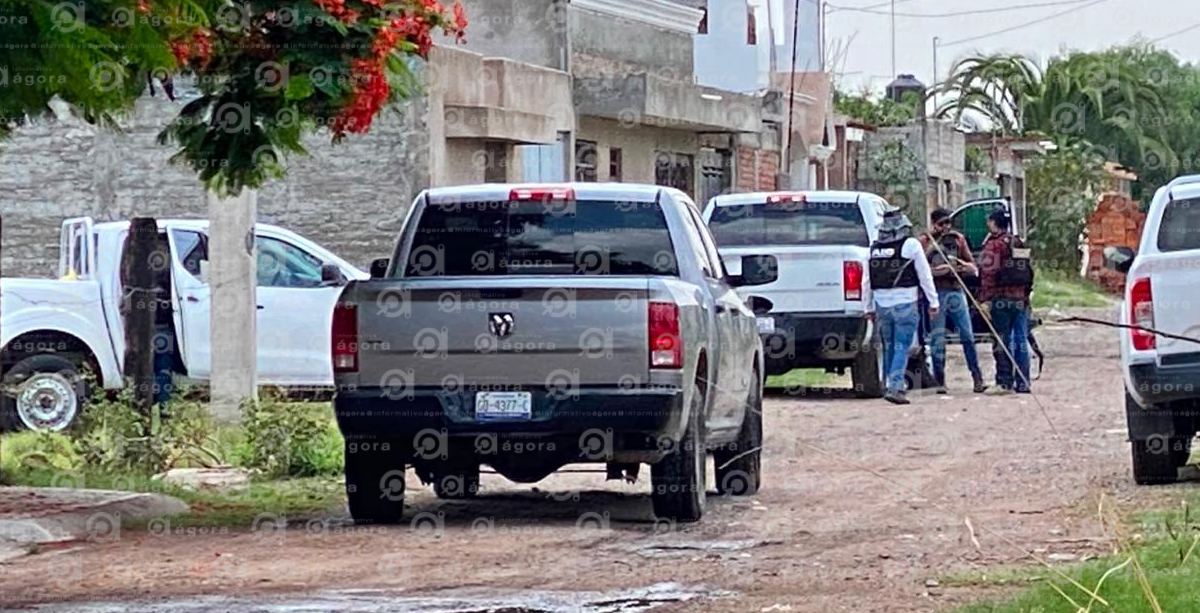 miniteriales guajolote