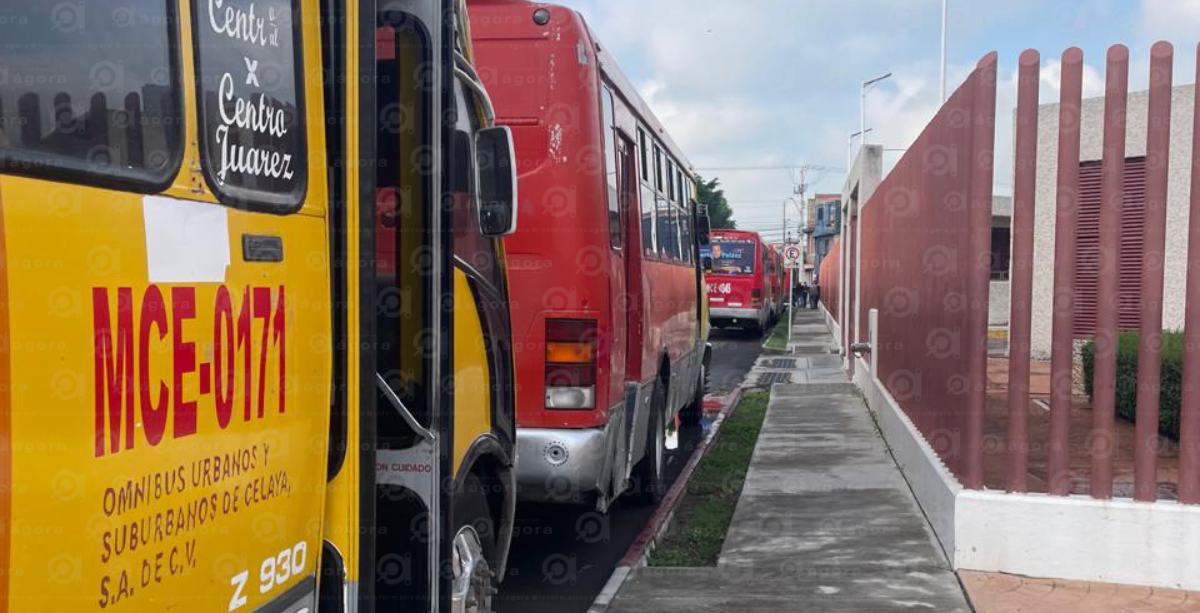 Ómnibus incumple en 44 de 49 camiones; califica como ilegal el retiro de unidades y acusa afectaciones laborales omnibus celaya