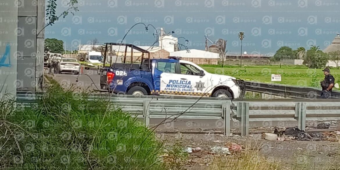 panamericana cuerpos