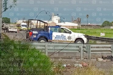 panamericana cuerpos