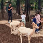 ZOO León asegura que está bajo control los casos del gusano barrenador 728570194 1352506263418948 2824066393043492131 n e1783953424899