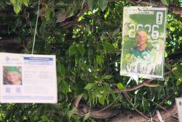 ARBOL DESAPARECIDOS
