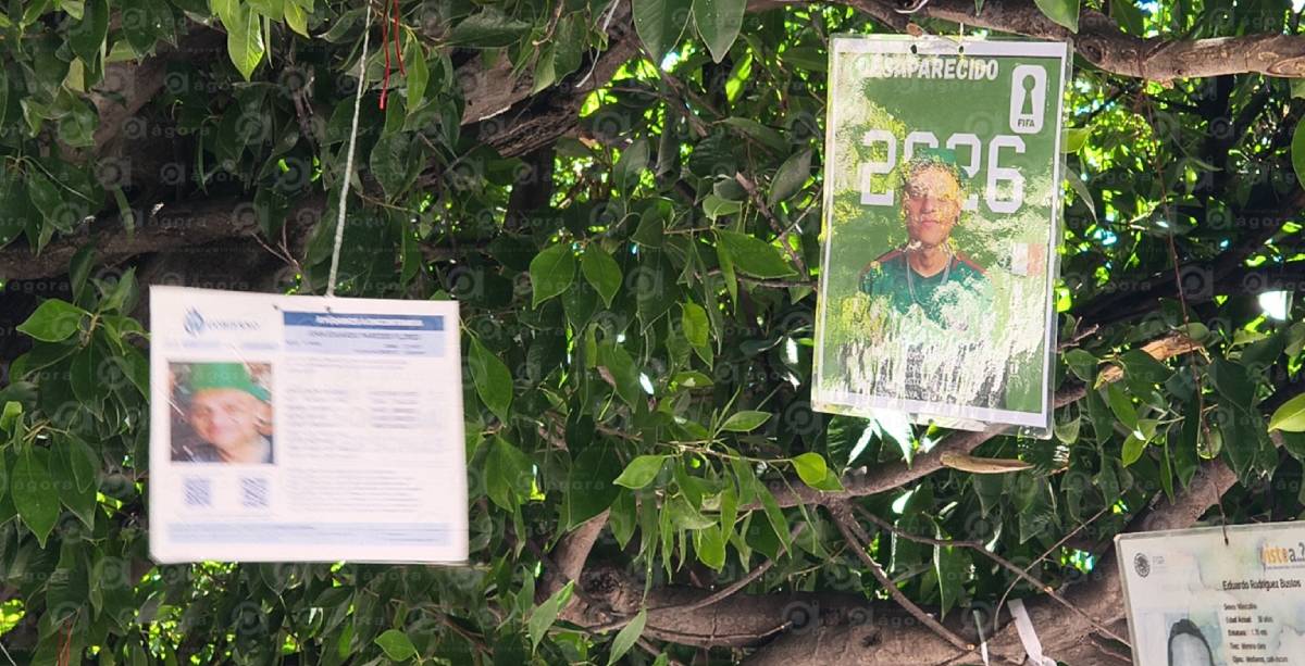 ARBOL DESAPARECIDOS
