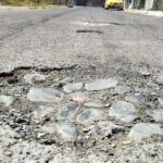 Baches