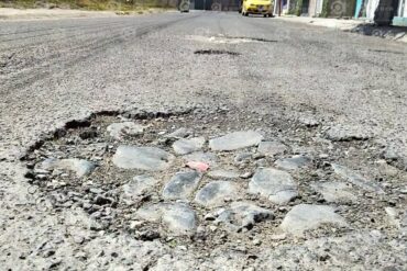 Baches