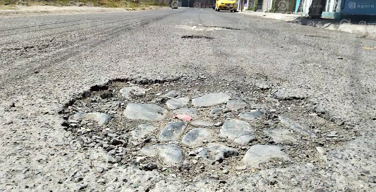 Baches