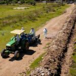 Cultivo Apaseo el Alto