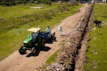 Cultivo Apaseo el Alto