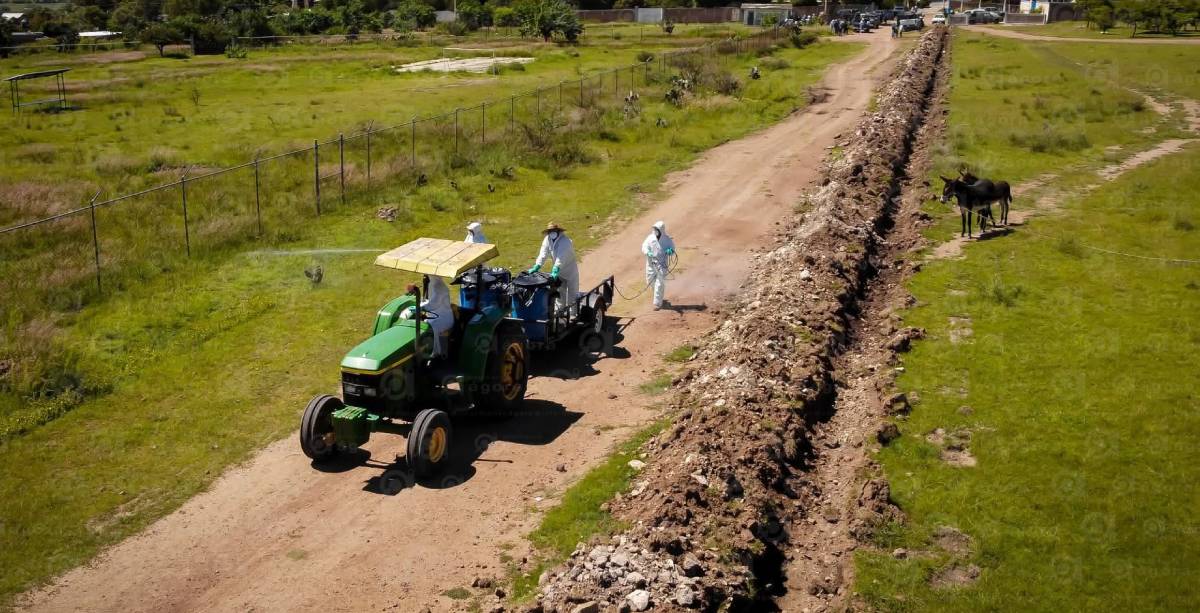 Cultivo Apaseo el Alto