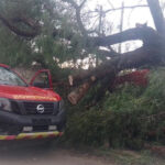 Granizo deja diversos daños en Juventino IMG 20260712 140315