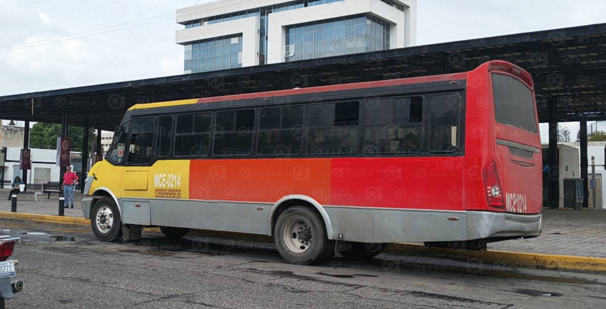 Ómnibus insiste en ampararse, presenta su cuarto recurso contra retiro de unidades TRANSPORTE