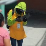 dengue campana