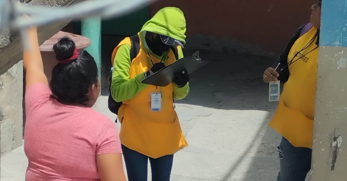 dengue campana