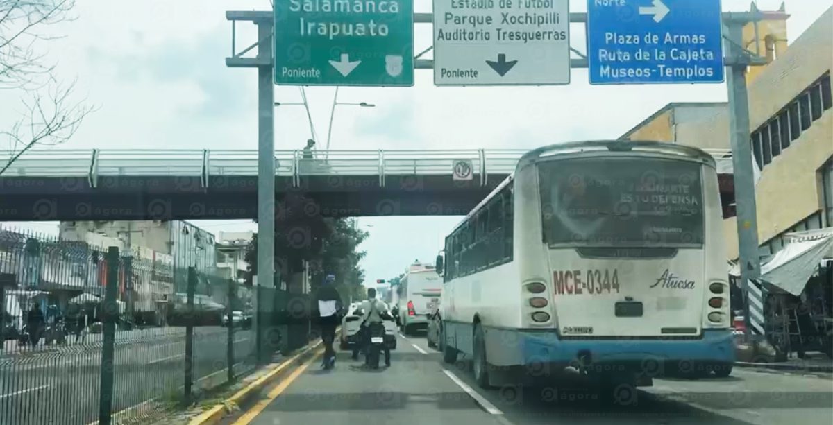 transporte celaya