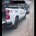 una luz en vivo