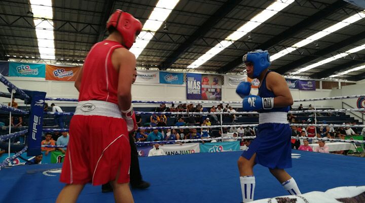 Clasifican 9 guanajuatenses a Olimpiada de Box 6878de86 9c7d 43b9 94ca 0816da03ab8a