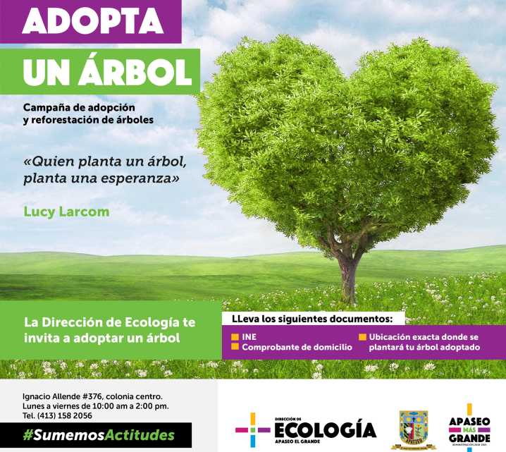 Ofrece municipio 1,500 árboles para adoptar — Informativo Ágora